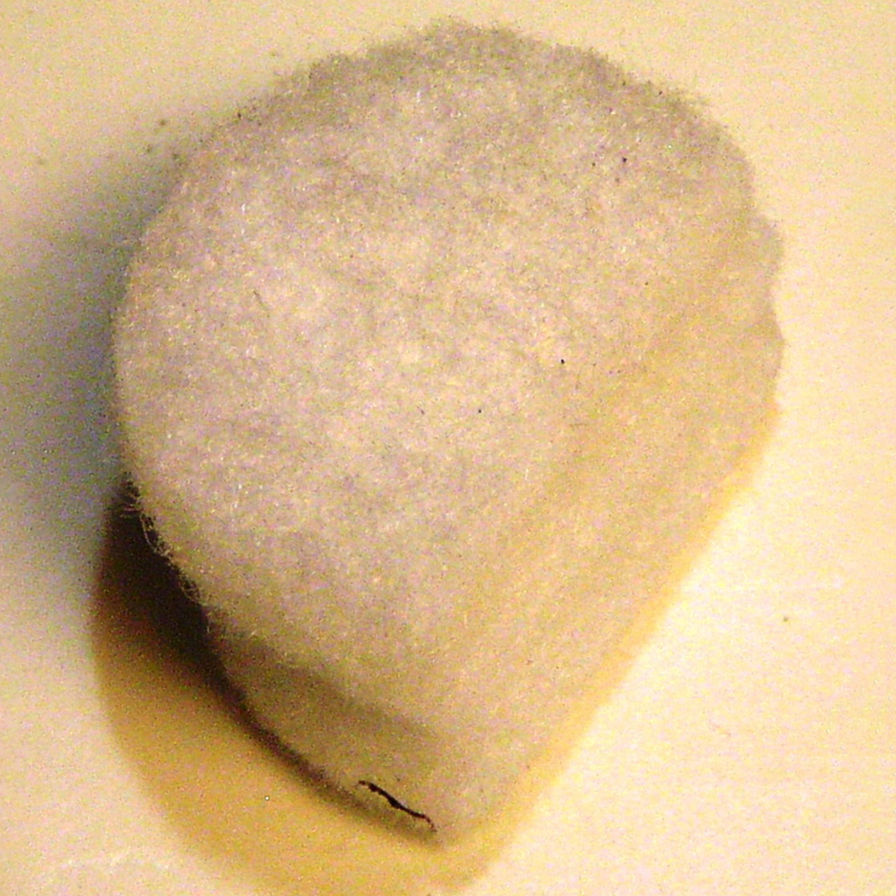 3M 7010326667 | 30346 Muffler