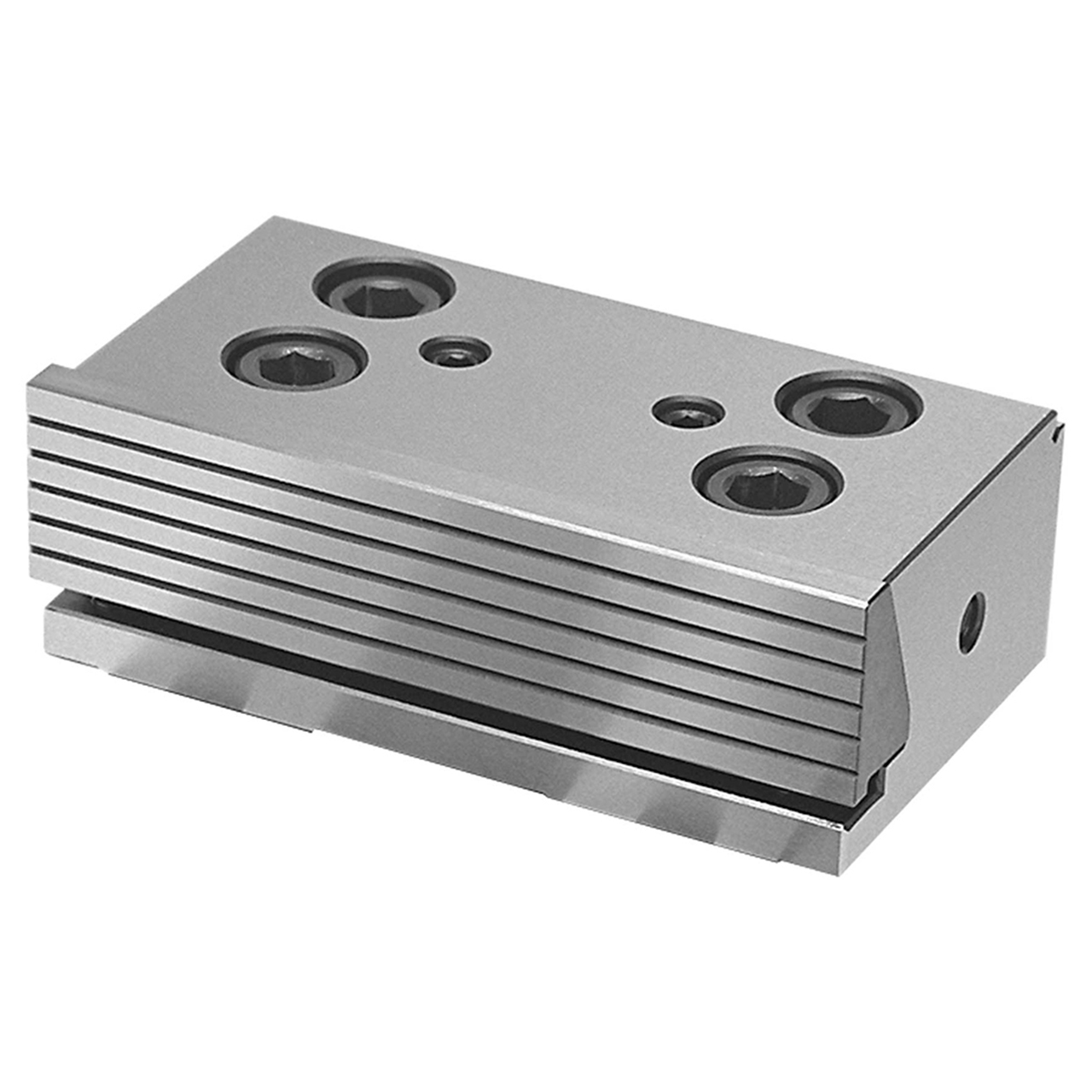 GS Tooling 382430 | Fixed Jaw For Modular Vise