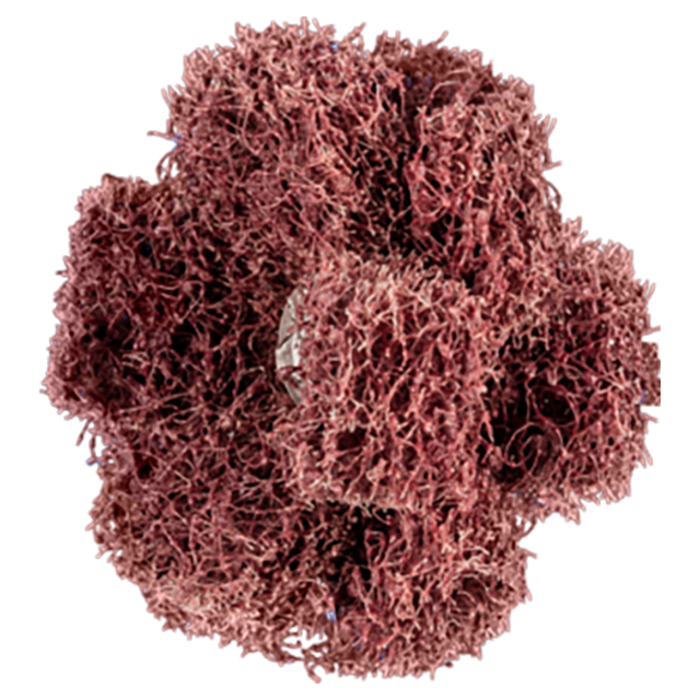 Pferd 44698384 | 44210 1-1/2" Diameter 80 Grit Aluminum Cross Buff