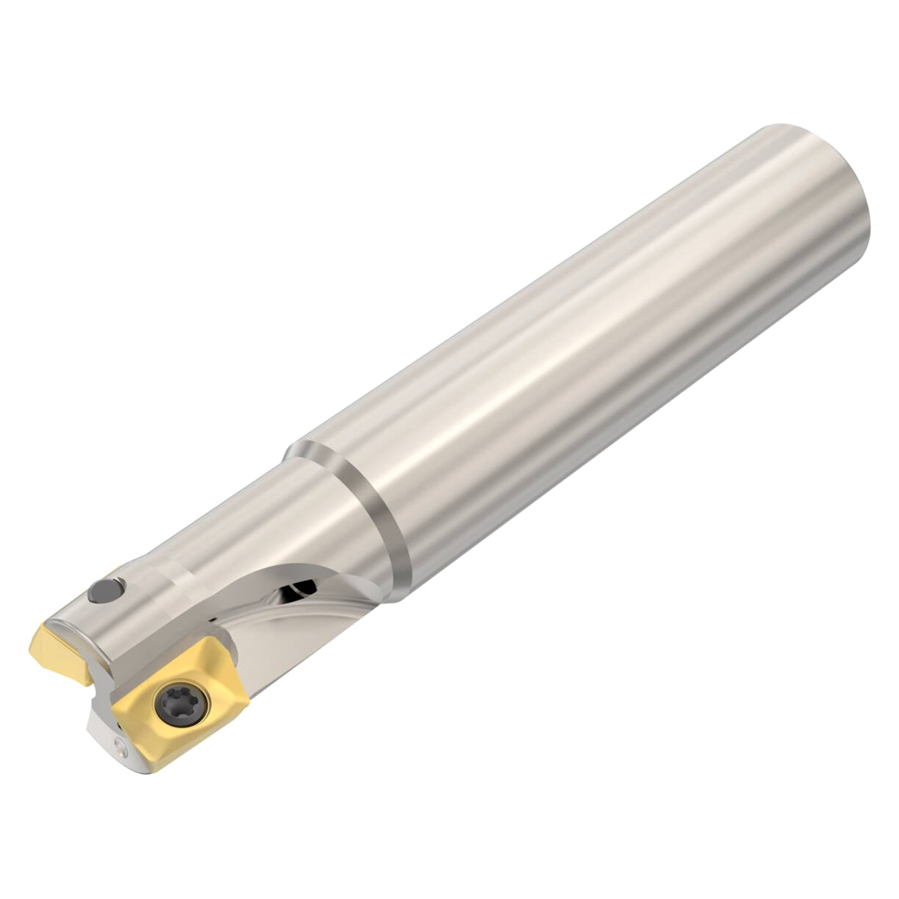 Seco Tools 02690714 | R217.69-1010.0-06-2AN 10.00mm Diameter x 10.00mm Shank x 55.00mm OAL Indexable Square-Shoulder End Mill