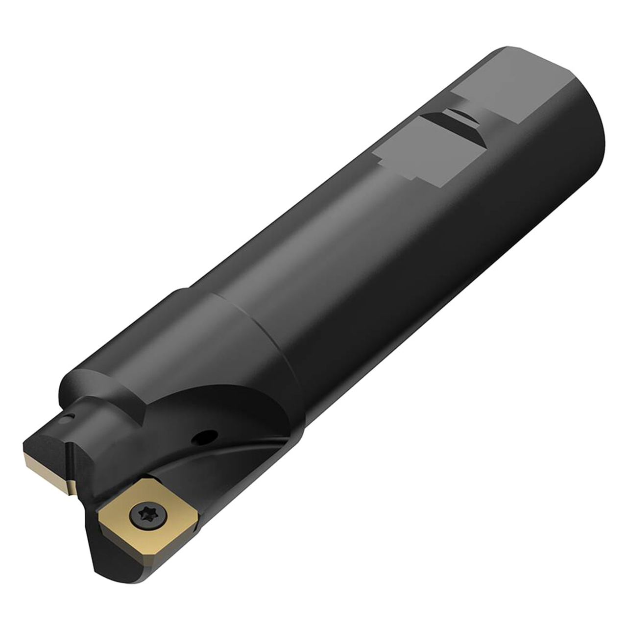 Seco Tools 02448870 | R417.19-3238.3-12A 38.00mm Diameter x 32.00mm Shank x 130.00mm OAL Indexable Square-Shoulder End Mill