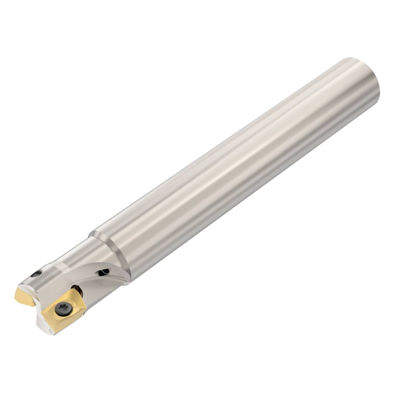Seco Tools 02676793 | R217.69-2020.0-12-2AN 20.00mm Diameter x 20.00mm Shank x 150.00mm OAL Indexable Square-Shoulder End Mill