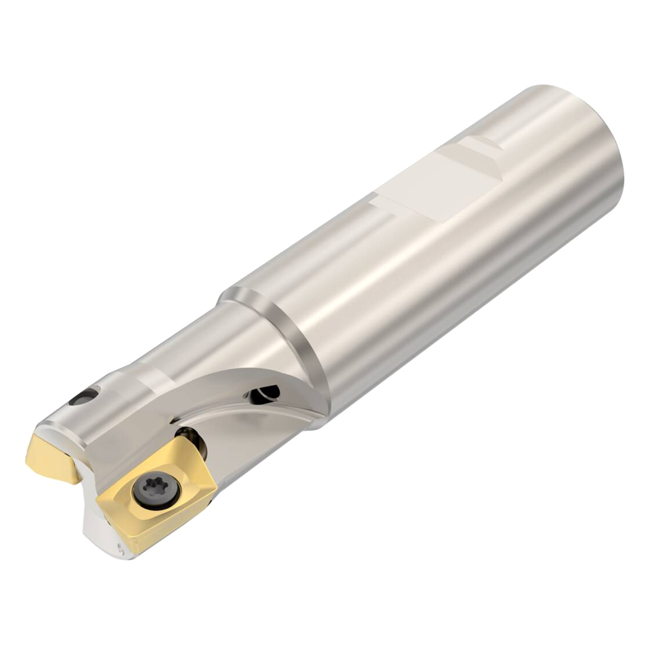 Seco Tools 02676817 | R217.69-2020.3-12-2AN 20.00mm Diameter x 20.00mm Shank x 85.00mm OAL Indexable Square-Shoulder End Mill