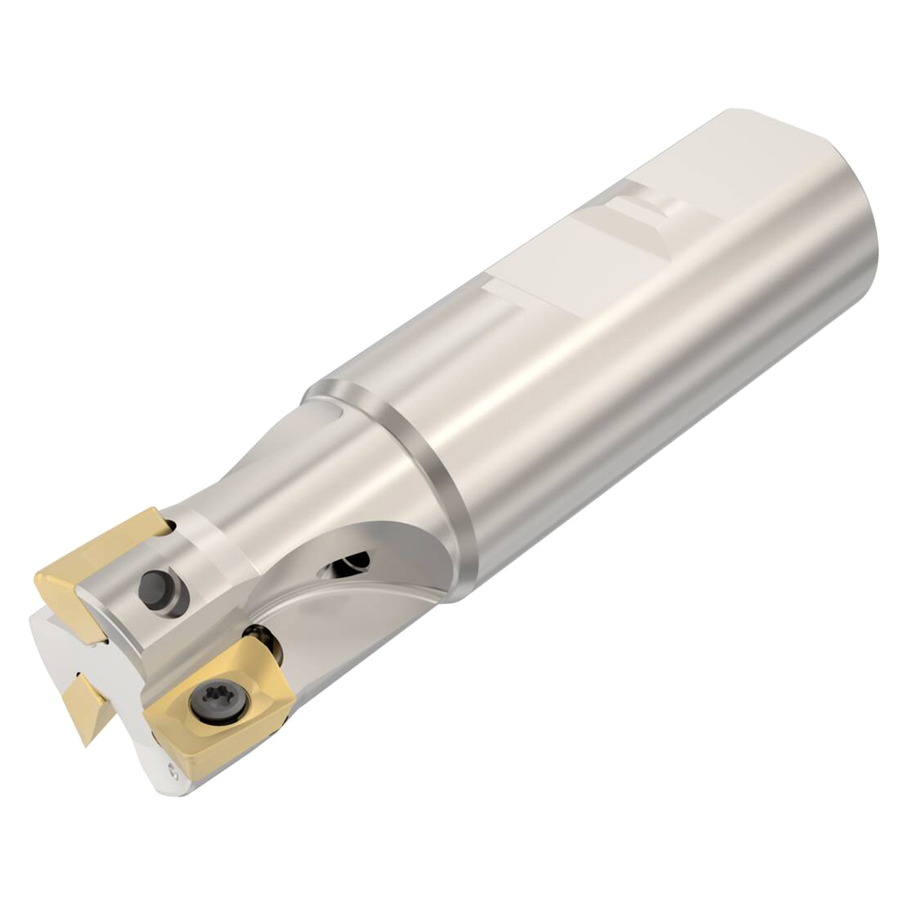 Seco Tools 02676819 | R217.69-2525.3-12-3AN 25.00mm Diameter x 25.00mm Shank x 95.00mm OAL Indexable Square-Shoulder End Mill