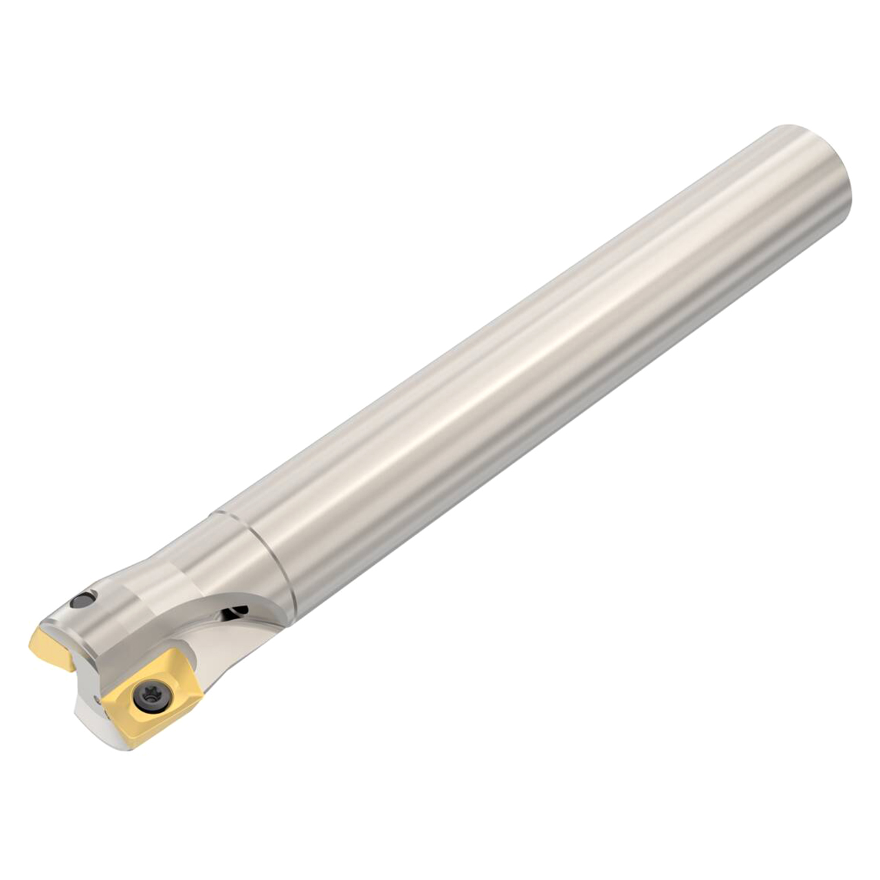 Seco Tools 02688849 | R217.69-00.87-0-12-2AN 0.875" Diameter x 0.750" Shank x 5.906" OAL Indexable Square-Shoulder End Mill