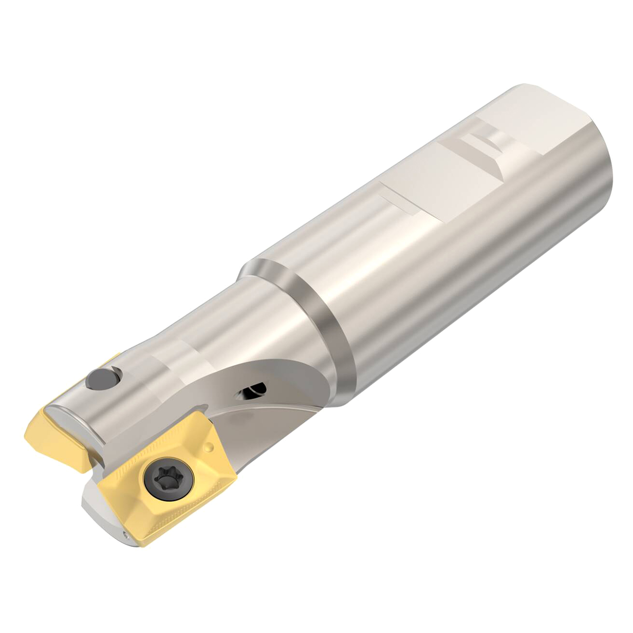 Seco Tools 02699130 | R217.69-01.00-3-18-2AN 25.40mm Diameter x 25.40mm Shank x 100.00mm OAL Indexable Square-Shoulder End Mill