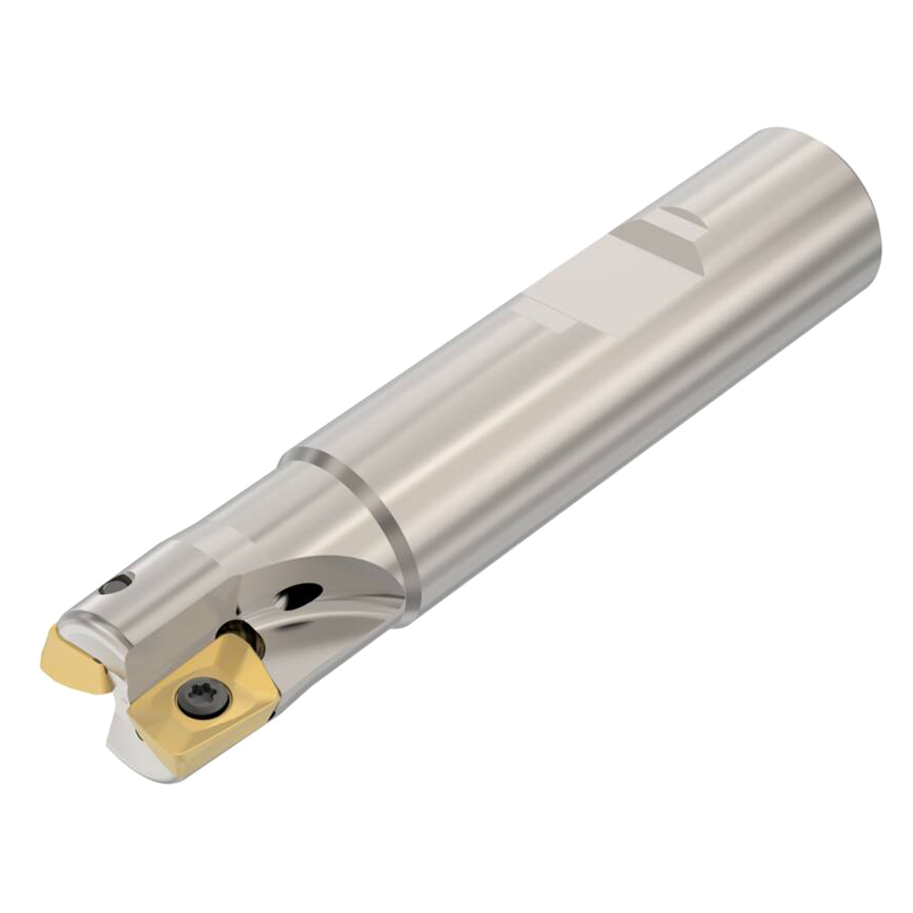 Seco Tools 02769180 | R217.69-1616.3-10-2A 16.00mm Diameter x 16.00mm Shank x 78.00mm OAL Indexable Square-Shoulder End Mill