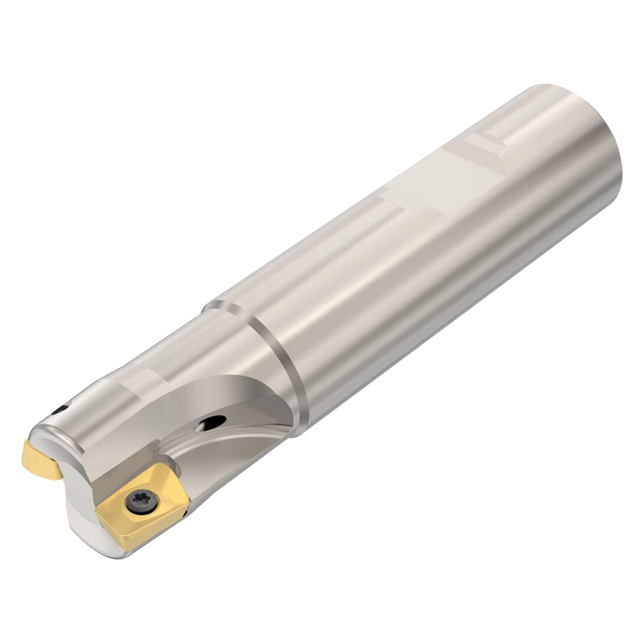 Seco Tools 02769210 | R217.69-2020.3-10-2A 20.00mm Diameter x 20.00mm Shank x 90.00mm OAL Indexable Square-Shoulder End Mill