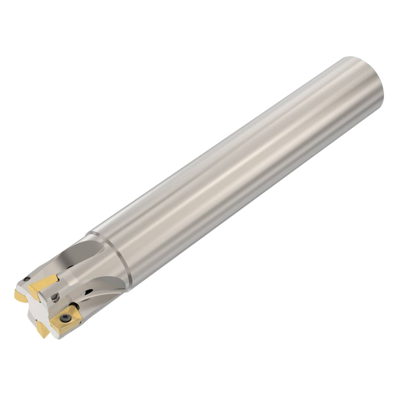 Seco Tools 02772710 | R217.69-01.00-0-10-4A 25.40mm Diameter x 25.40mm Shank x 170.00mm OAL Indexable Square-Shoulder End Mill