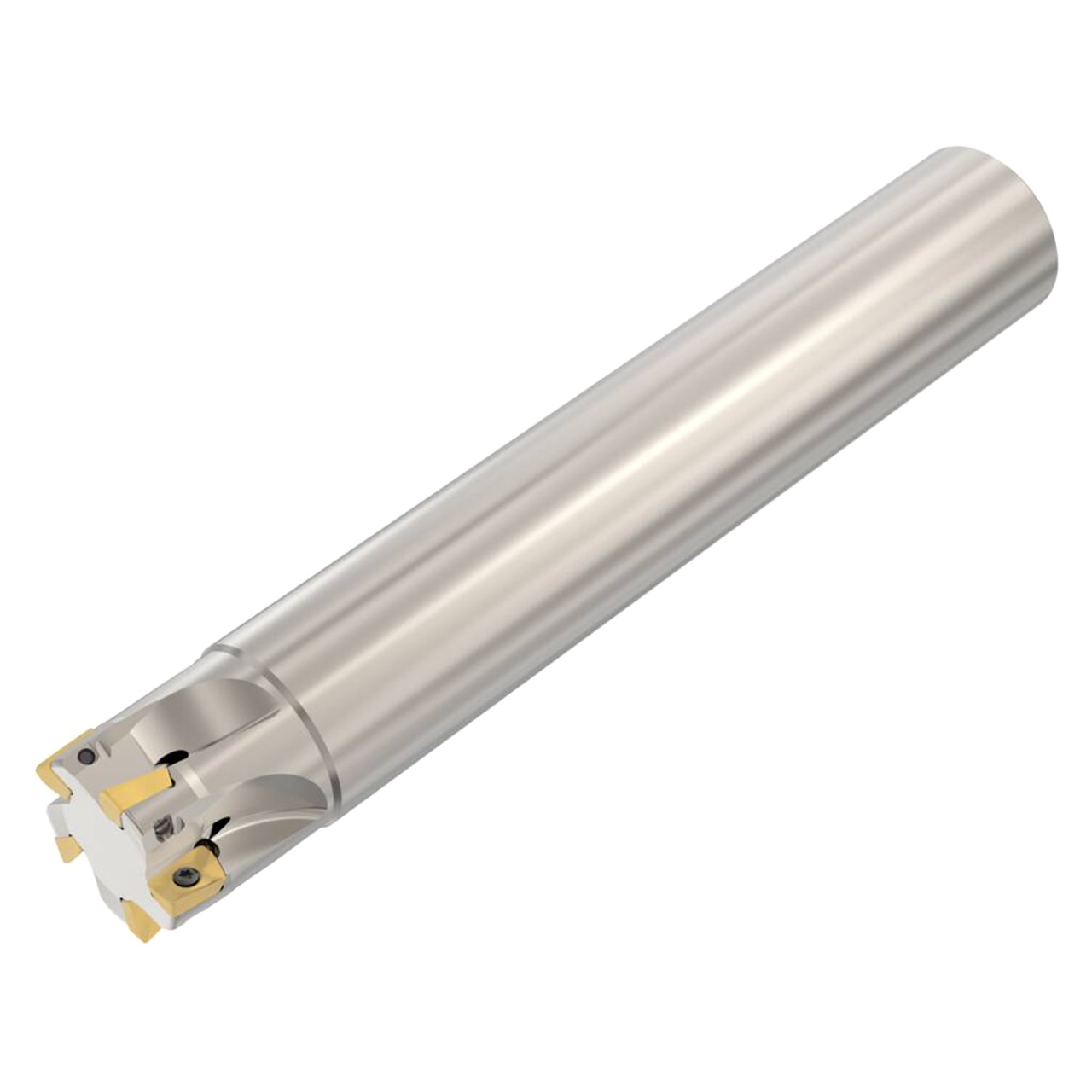 Seco Tools 02772728 | R217.69-01.25-0-10-5A 31.75mm Diameter x 31.75mm Shank x 195.00mm OAL Indexable Square-Shoulder End Mill