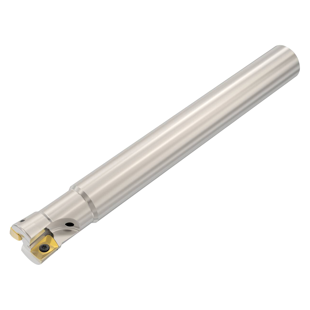 Seco Tools 02842051 | R217.79-1820.0-10-2A 20.00mm Diameter x 18.00mm Shank x 160.00mm OAL Plunge Mill