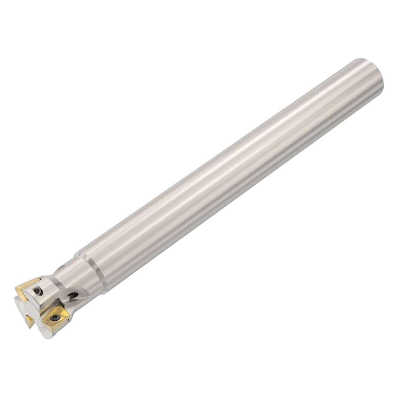 Seco Tools 02842052 | R217.79-2025.0-10-3A 25.00mm Diameter x 20.00mm Shank x 200.00mm OAL Plunge Mill