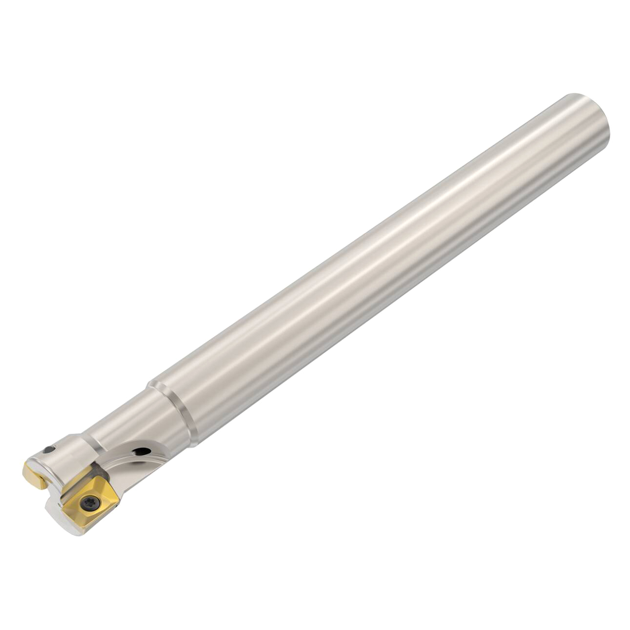 Seco Tools 02844106 | R217.79-00.75-0-10-2A 0.750" Diameter x 0.625" Shank x 6.299" OAL Plunge Mill