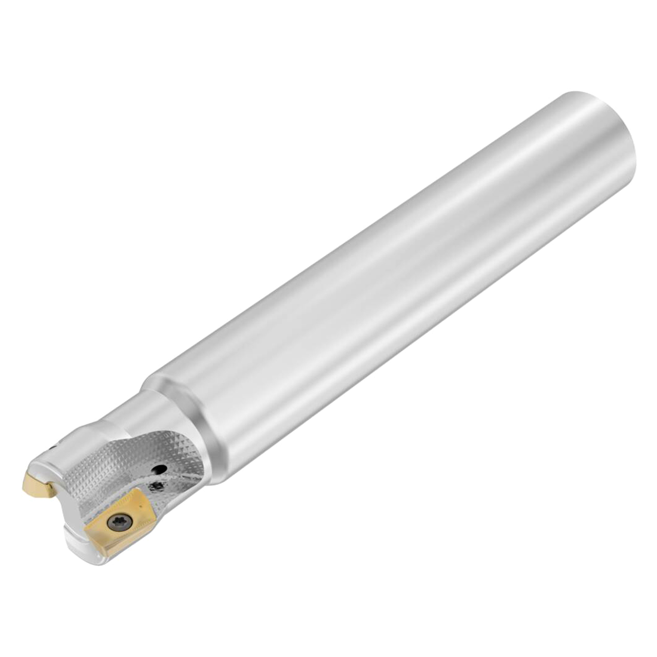 Seco Tools 03336134 | R217.69-01.00-0-XO16-2A 25.40mm Diameter x 25.40mm Shank x 170.00mm OAL Indexable Square-Shoulder End Mill