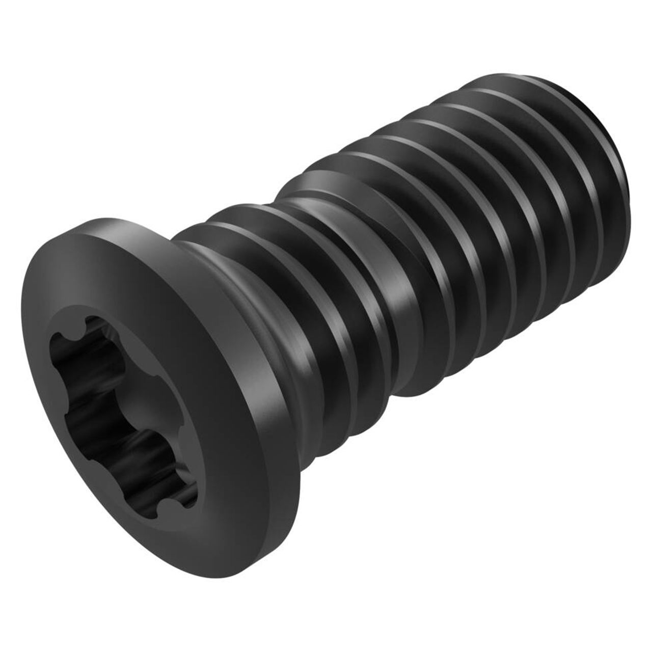 Seco Tools 02483442 | CS4009-T15P M4 Thread Diameter Size x 9.50mm OAL Insert Screw for Indexable