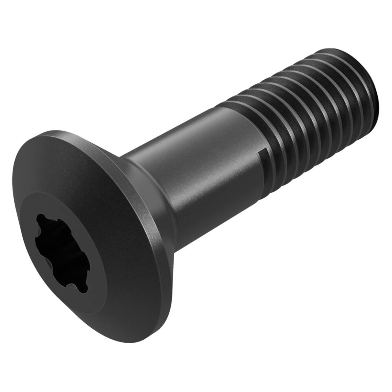 Seco Tools 02483614 | WS1920-T20P M5 Thread Diameter Size x 19.00mm OAL Screws for Indexable
