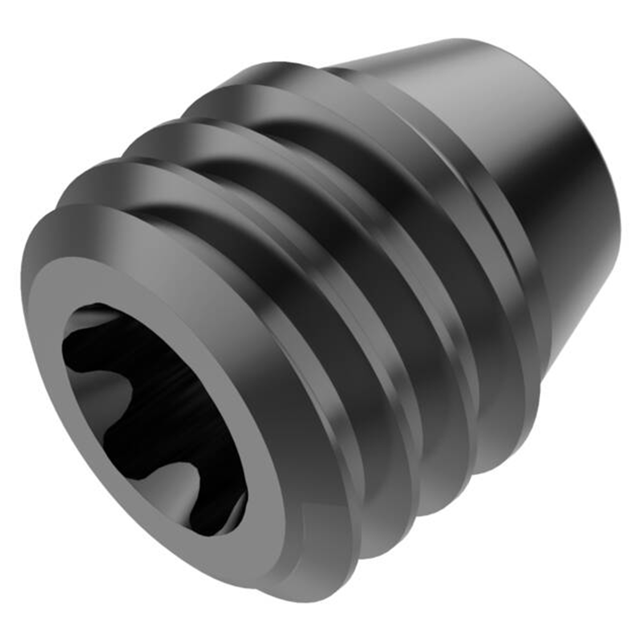 Seco Tools 03300646 | LSQ6065-T15P Locking Screw