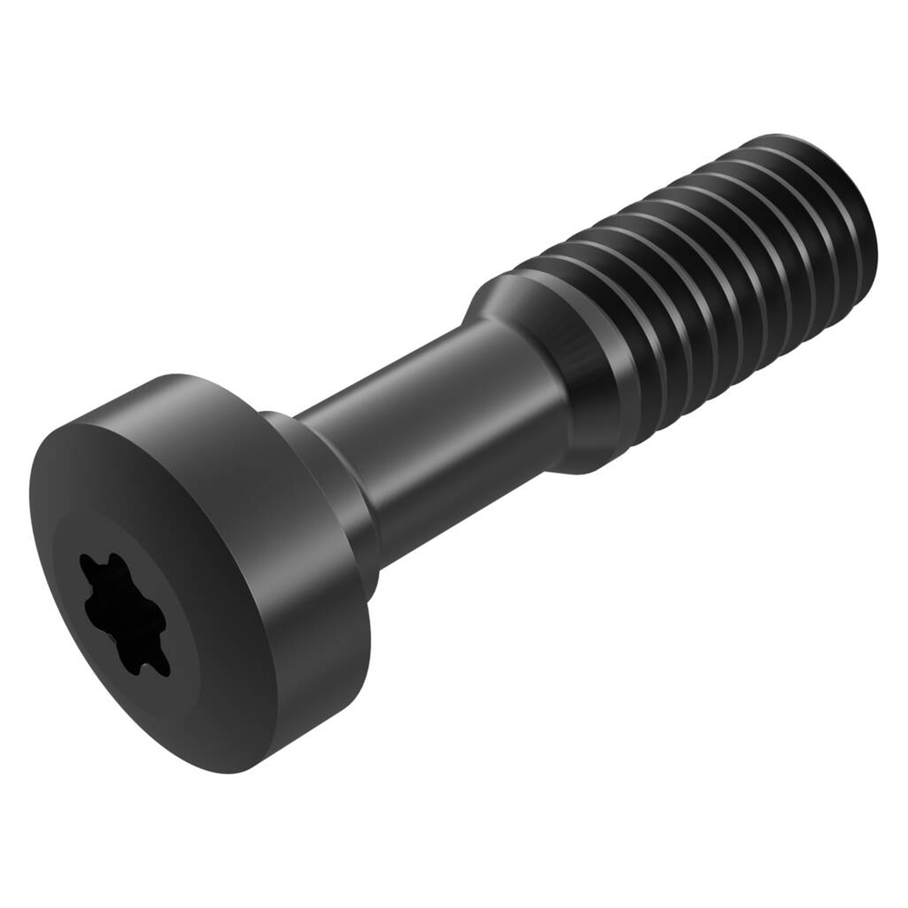 Seco Tools 10191965 | L84017-T10P M4 Thread Diameter Size x 17.50mm OAL Clamp Screw