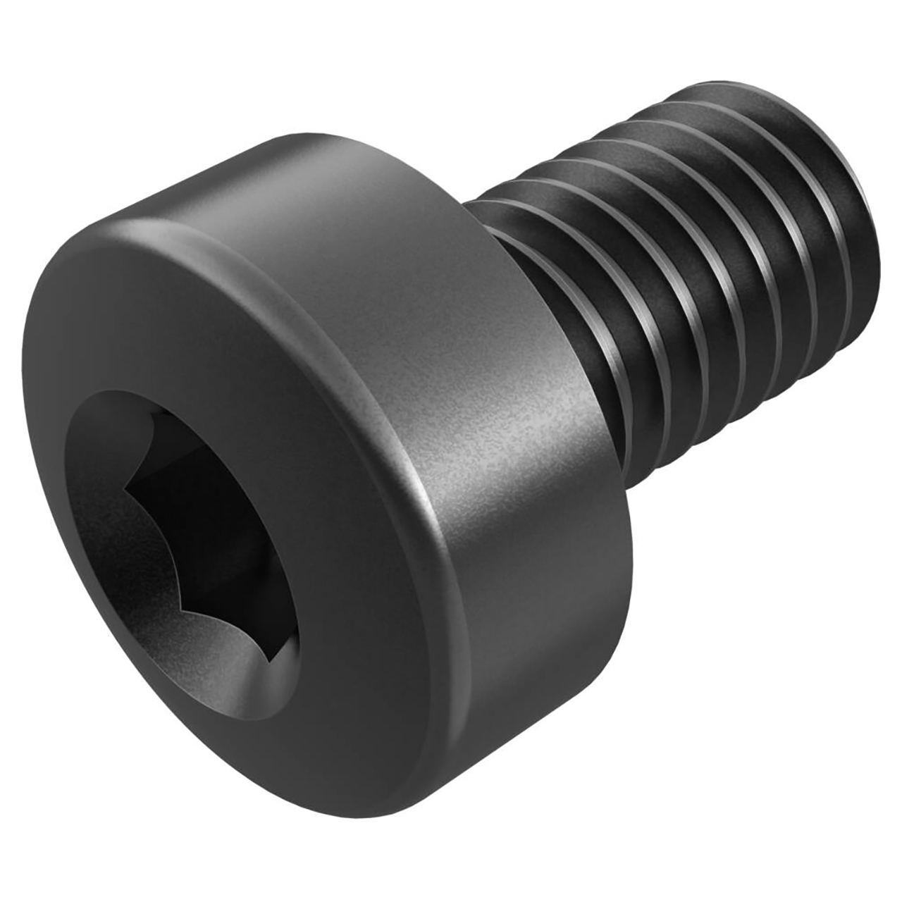 Seco Tools 75055839 | 19TB0305 M3 Thread Diameter Size x 7.50mm OAL Socket-Head Cap Screw