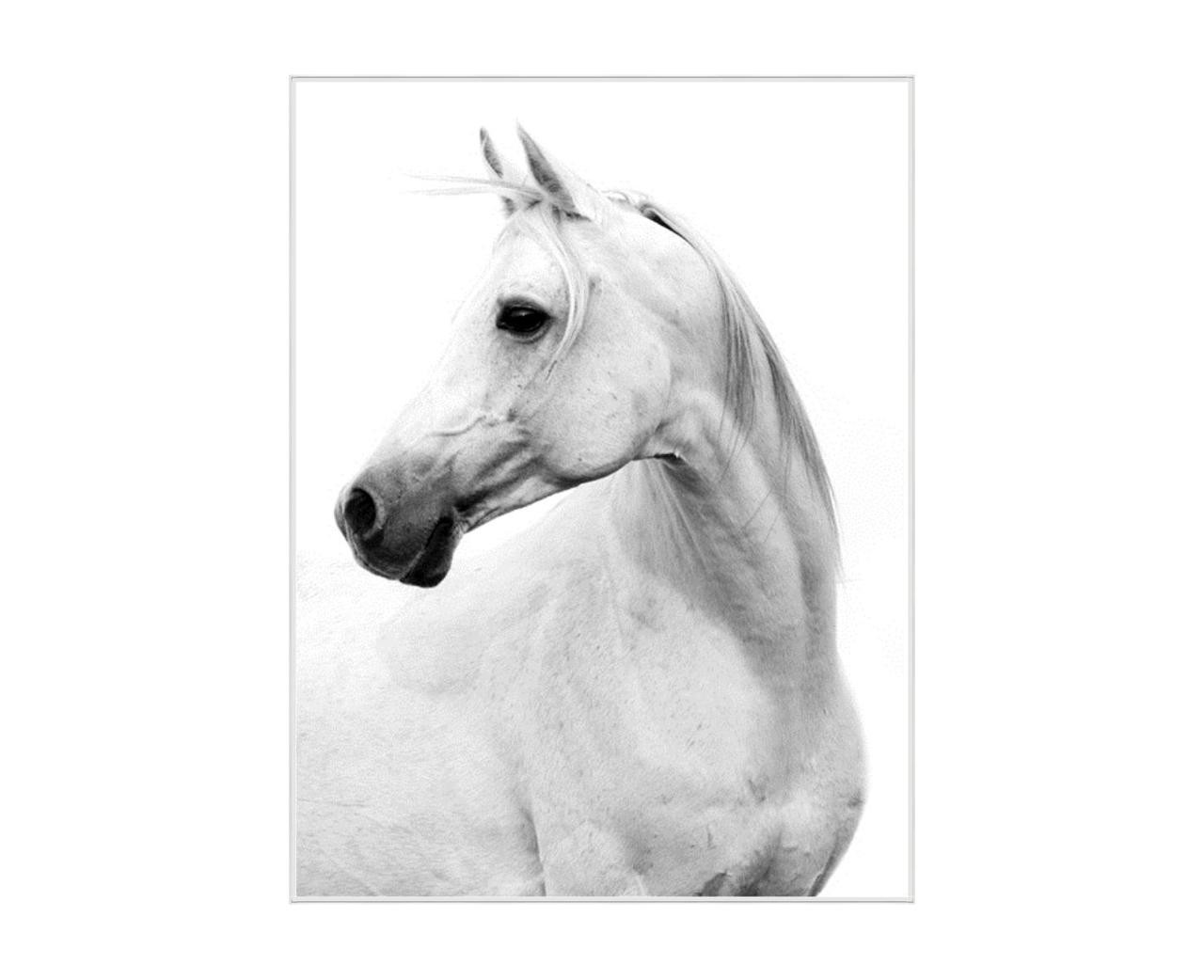 Le Cheval Blanc White Horse Framed Art