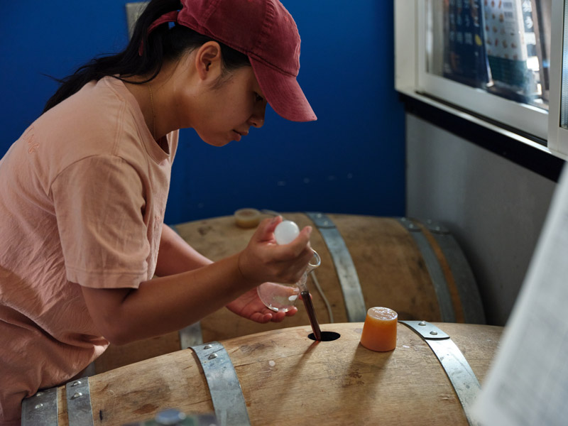 Checking the Barrels