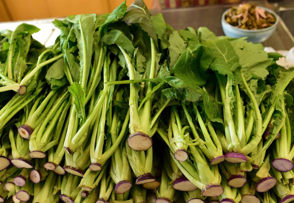 https://cdn11.bigcommerce.com/s-mzufg65qhz/product_images/uploaded_images/sunki-pickle-tops.jpg