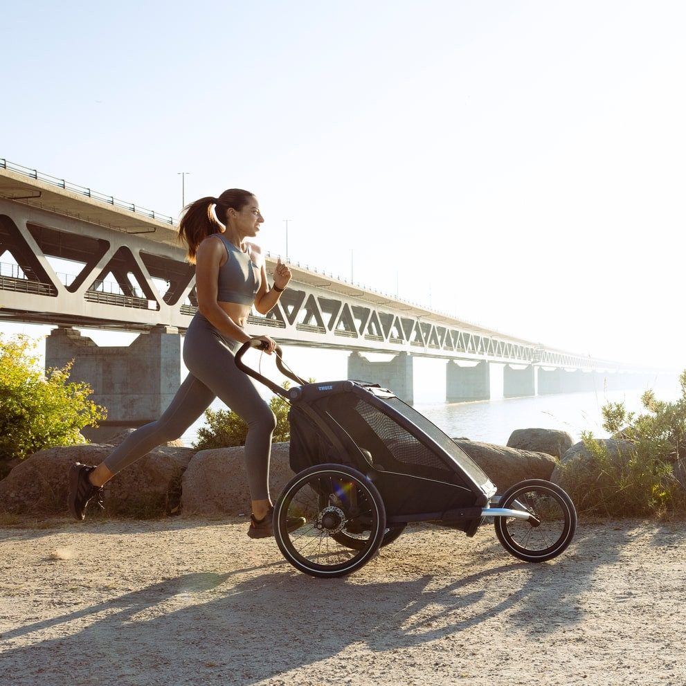 The New 2025 Thule Chariot Sport Bike Trailer Single Black