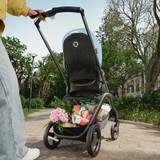 Bugaboo Dragonfly Seat Complete Stroller