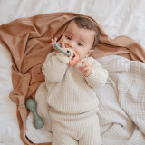 Mushie Teething Ring - Dino