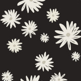 Honeysuckle Swim Sunsuit - Night And Daisy