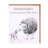 Wrendale Designs Little Lamb Greeting Card