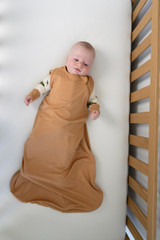 1.0 TOG Sleep Sack - Desert