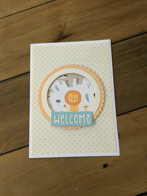 Lovely Paper Design Welcome Little One Card