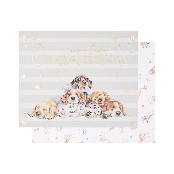 Wrendale Designs Little Paws Congratulations Card