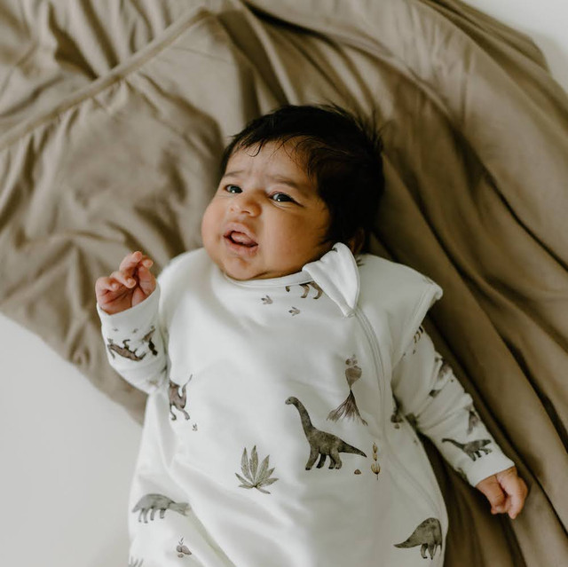 2.5 TOG Sleep Sack - Dinoland 2.5 TOG Sleep Sack - Dinoland