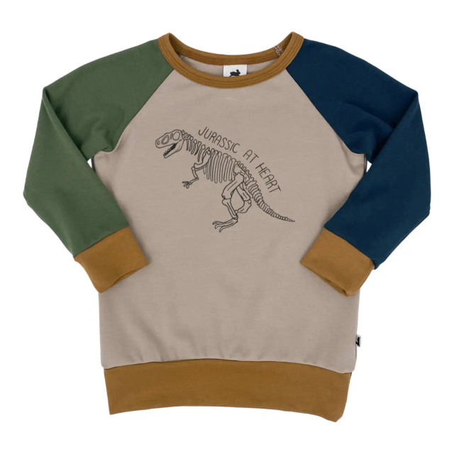 Little & Lively 'Jurassic at Heart' Pullover - Colour Block