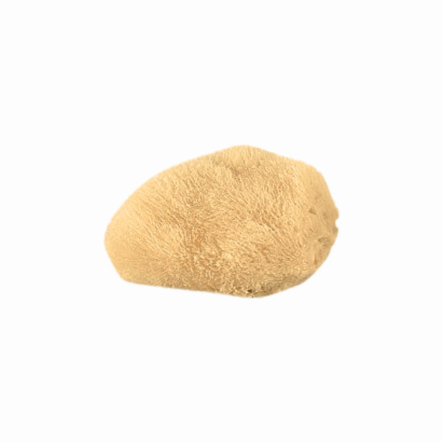 Baja Baby - Silk Sea Sponge Baja Baby - Silk Sea Sponge