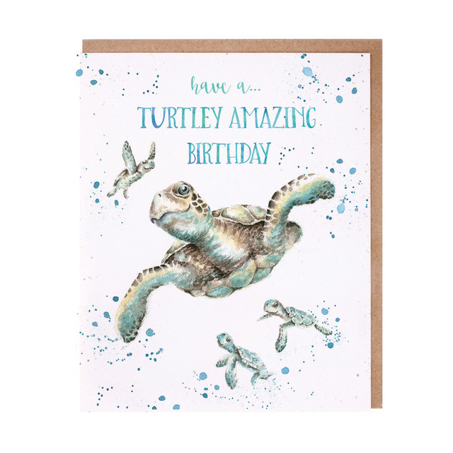 Wrendale Designs Turtley Amazing Greeting Card Wrendale Designs Turtley Amazing Greeting Card
