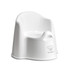 Baby Bjorn Potty Chair