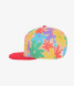 Headster Backyard Meadow Snapback - Peaches