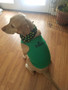  Irish DOG T-Shirt 