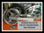 HAYABUSA 300 FAT TIRE KIT POLISHED REPLICA WHEEL RAW ARM 99-07 SUZUKI HAYABUSA
