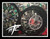 NINJA 240 FAT TIRE KIT BLACK CONTRAST BANDIT WHEELS 04-10 KAWASAKI NINJA ZX-10R