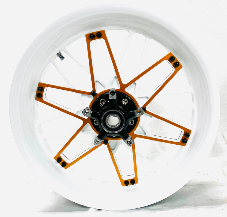 NINJA 300 WHITE & CUSTOM GOLD 