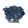 Blue Coral On Acrylic Base - 3 Sizes