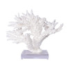Branch Coral On Acrylic Base - 4 Sizes