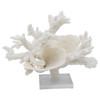 Branch Cup Combo Coral Creation On Acrylic Base
