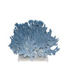 Blue Coral 15-18 Inch On Acrylic Base