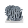 Blue Coral 15-18 Inch On Acrylic Base