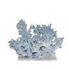 Blue Coral 18-20 Inch On Acrylic Base